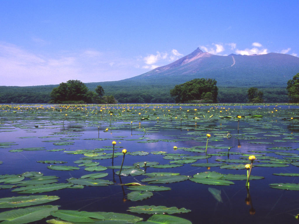 Royal Hotel Minami Hokkaido Shikabe Екстер'єр фото